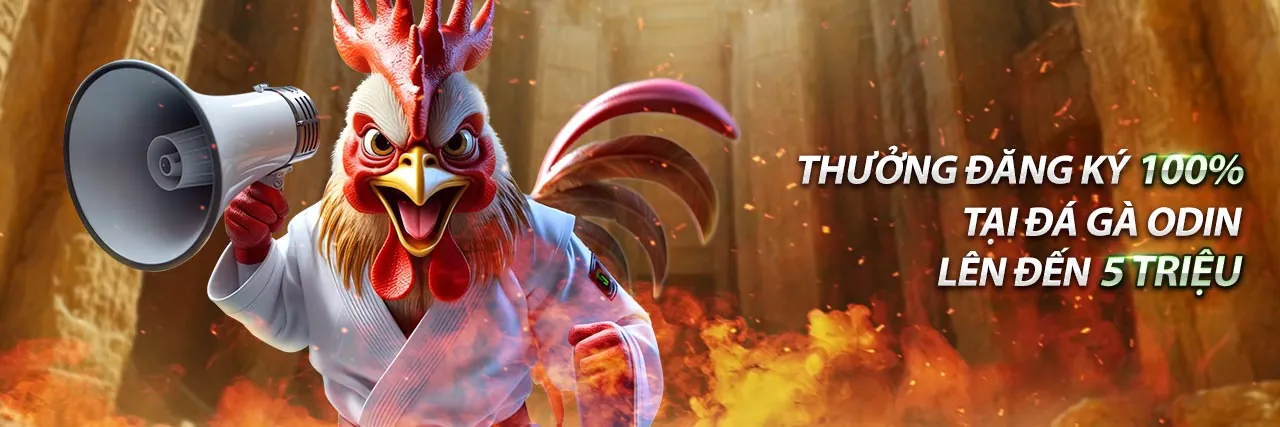 Hình ảnh minh họa cam kết cờ bạc an toàn và có trách nhiệm của Win55